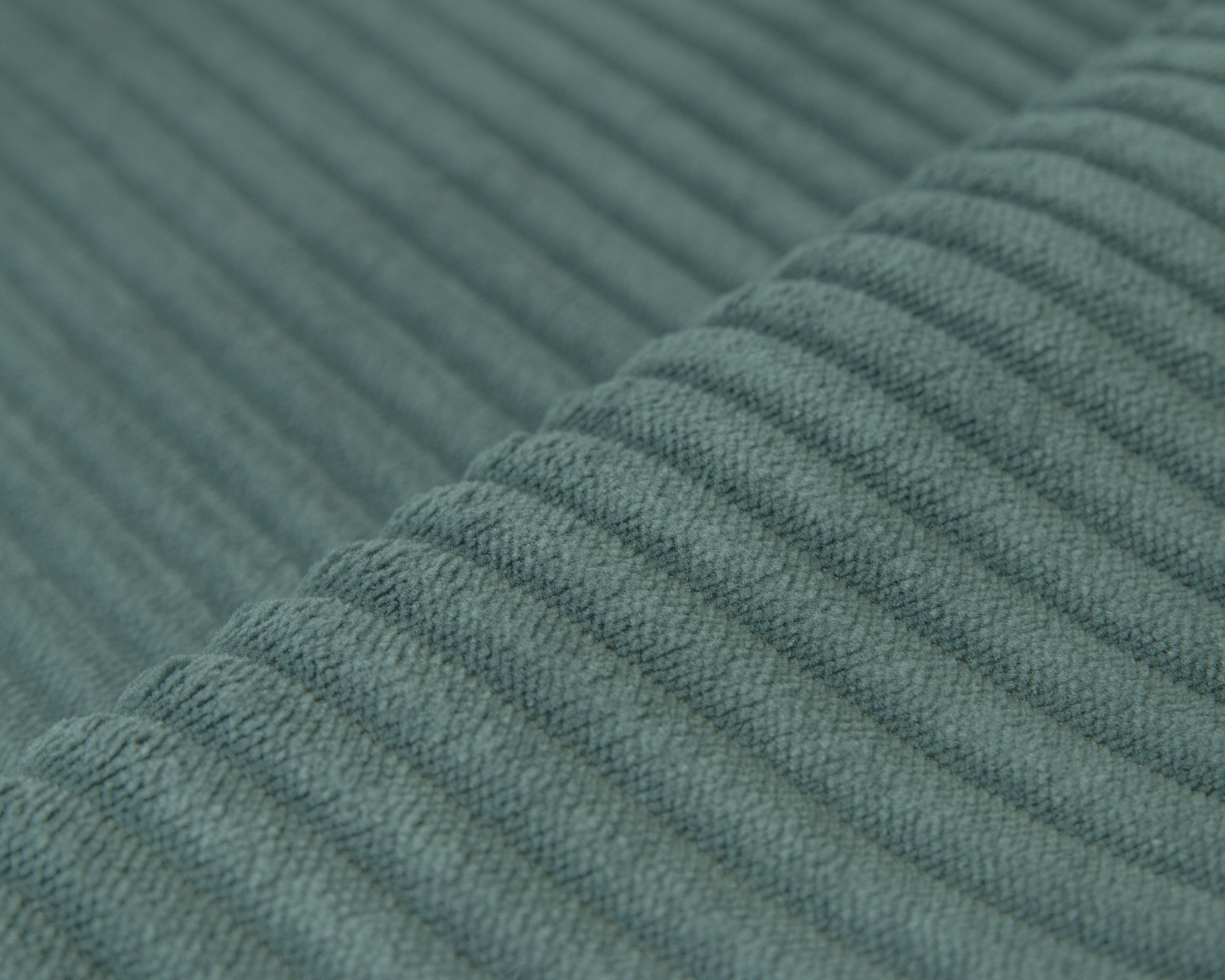 Cilium CILIUM FOREST