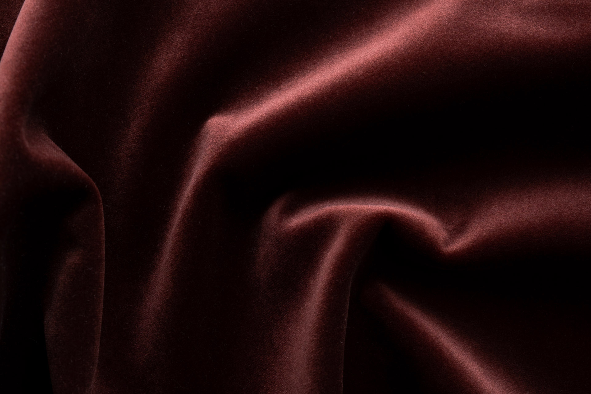 Paddington Paddington 10