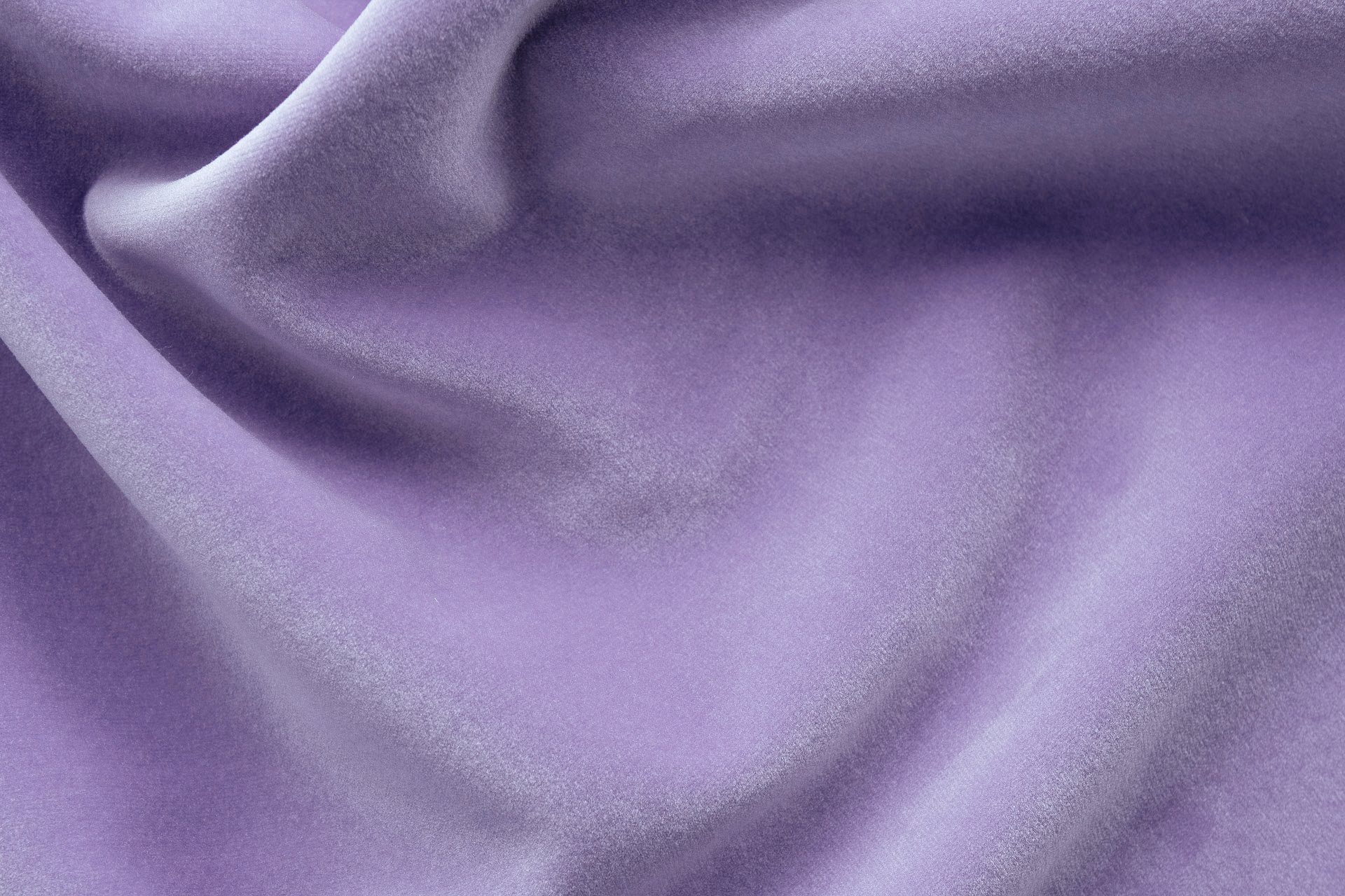 Paddington Paddington 12