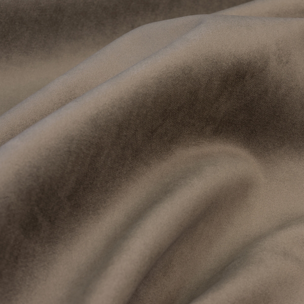 Imperia imperia mocco