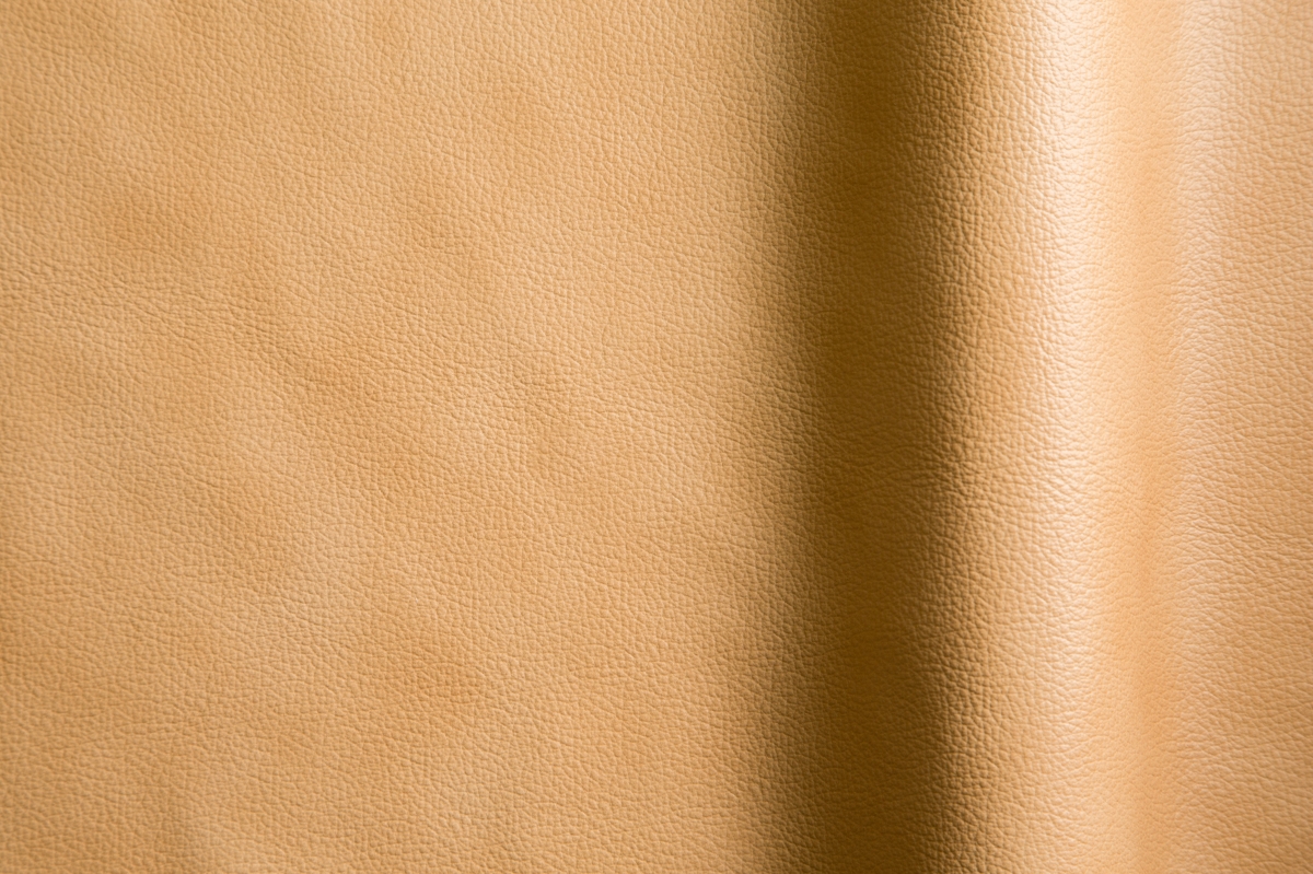 Madras Nevola sablia