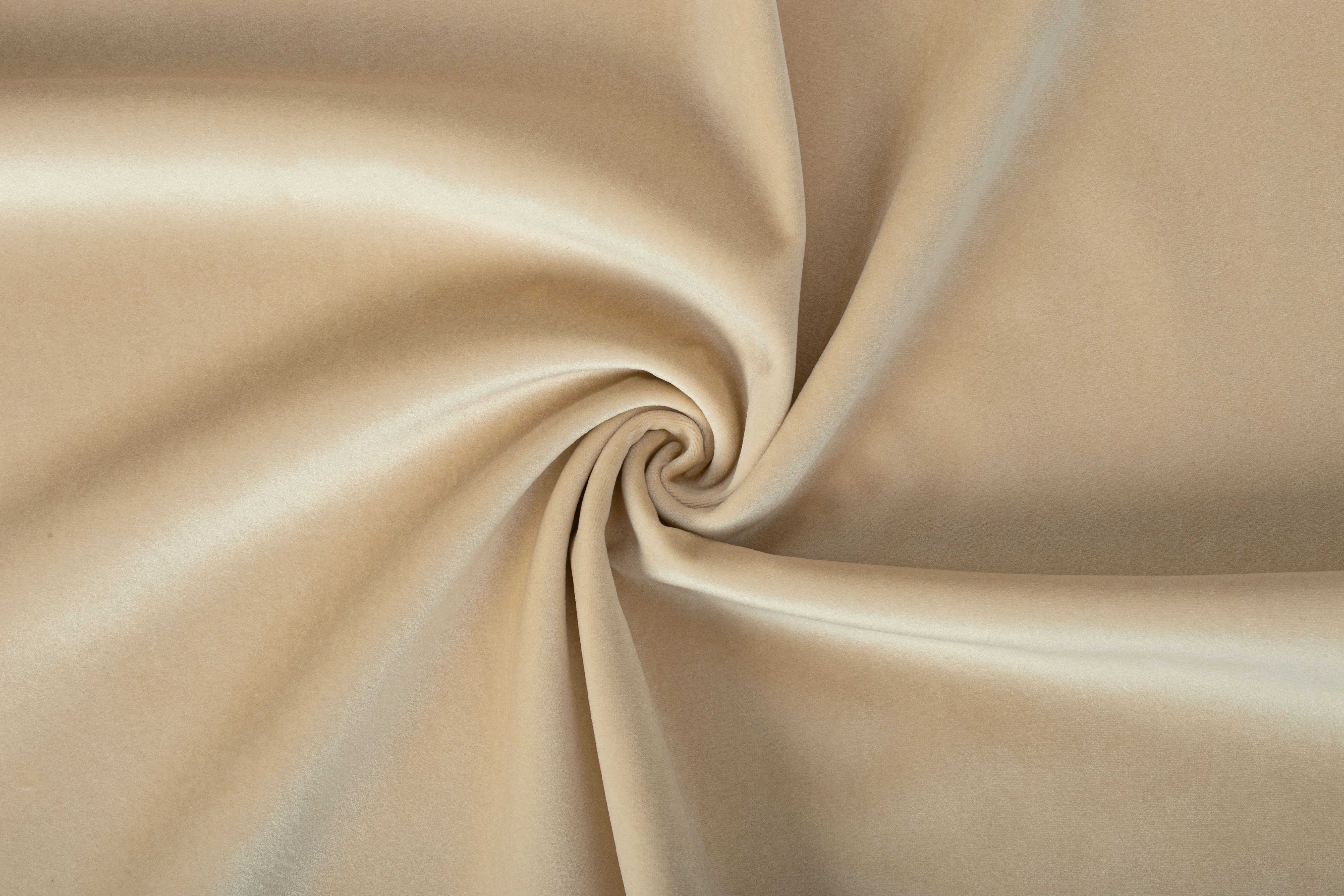 Paddington Paddington 29