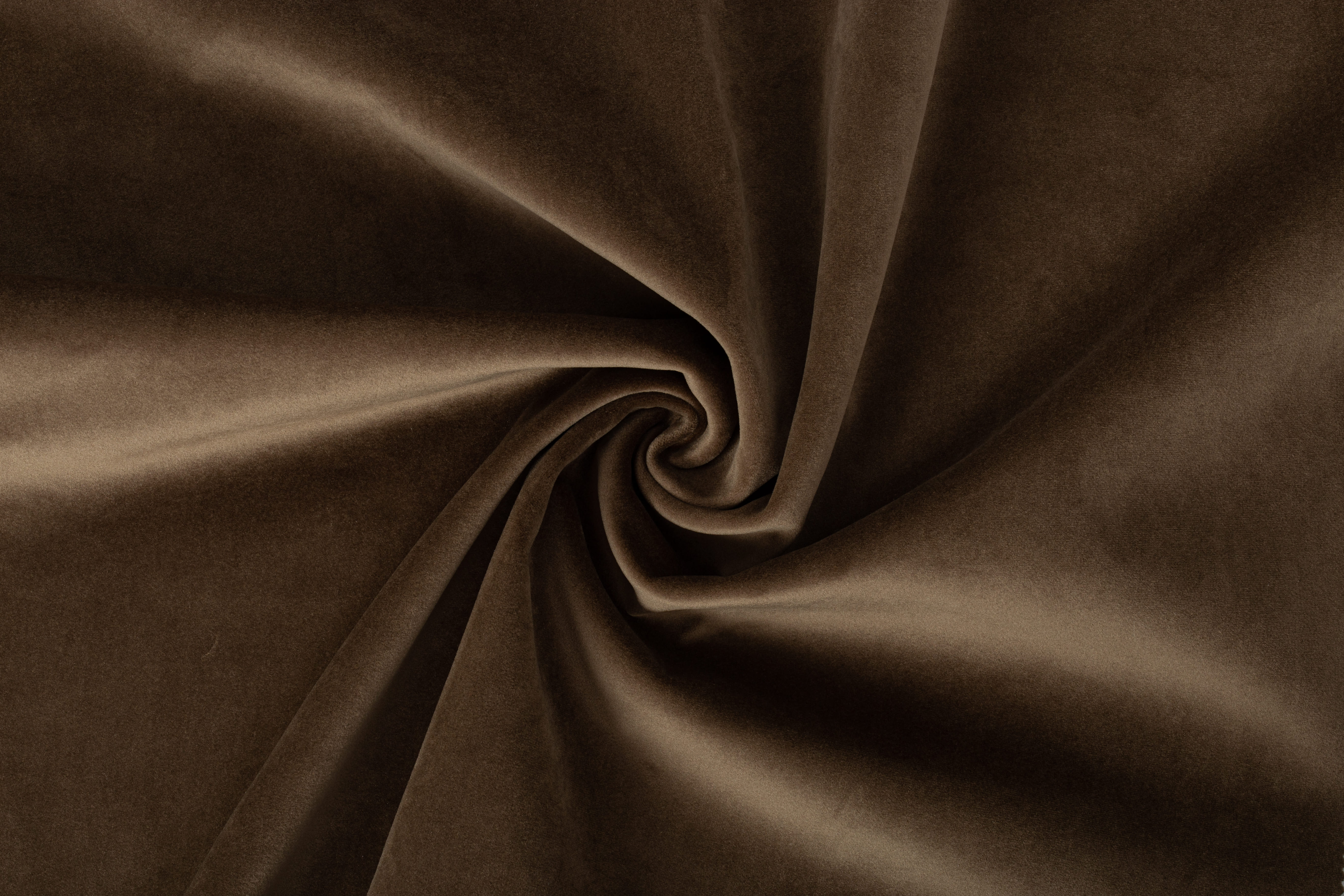 Paddington Paddington 39