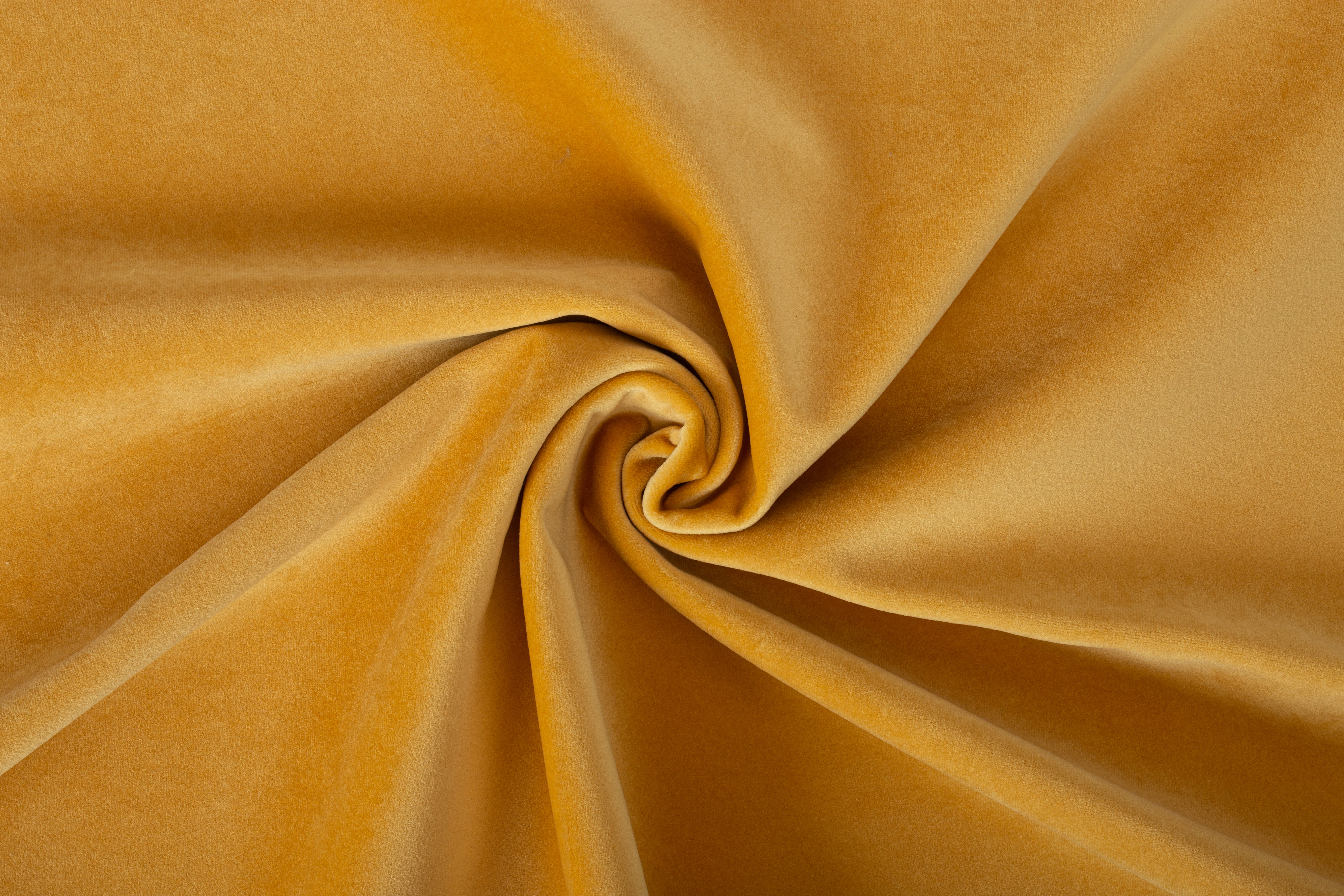 Paddington Paddington 30